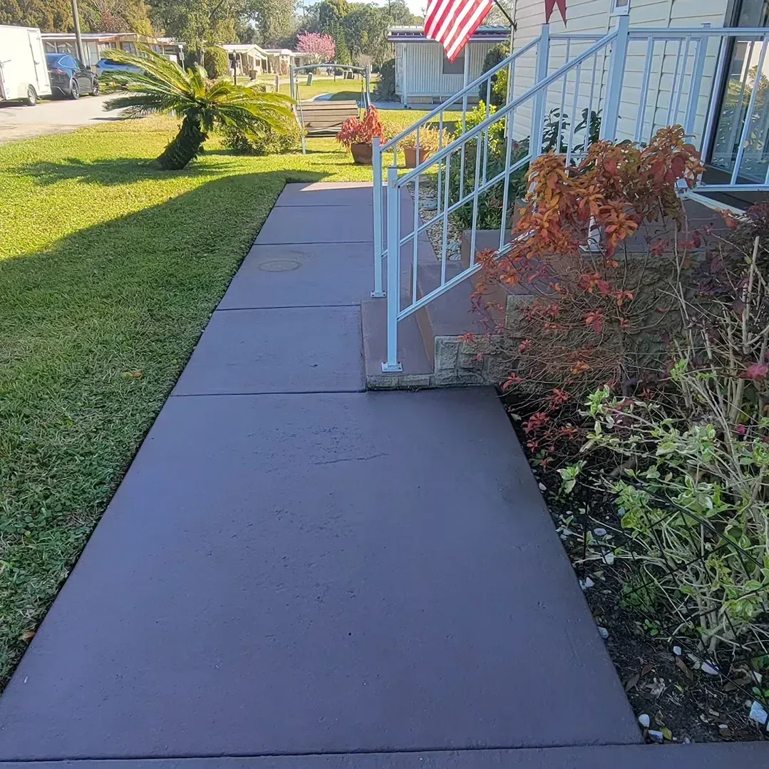 A concrete walkway leading to a house with a handrail. Reddish-brown foliage is on the right.