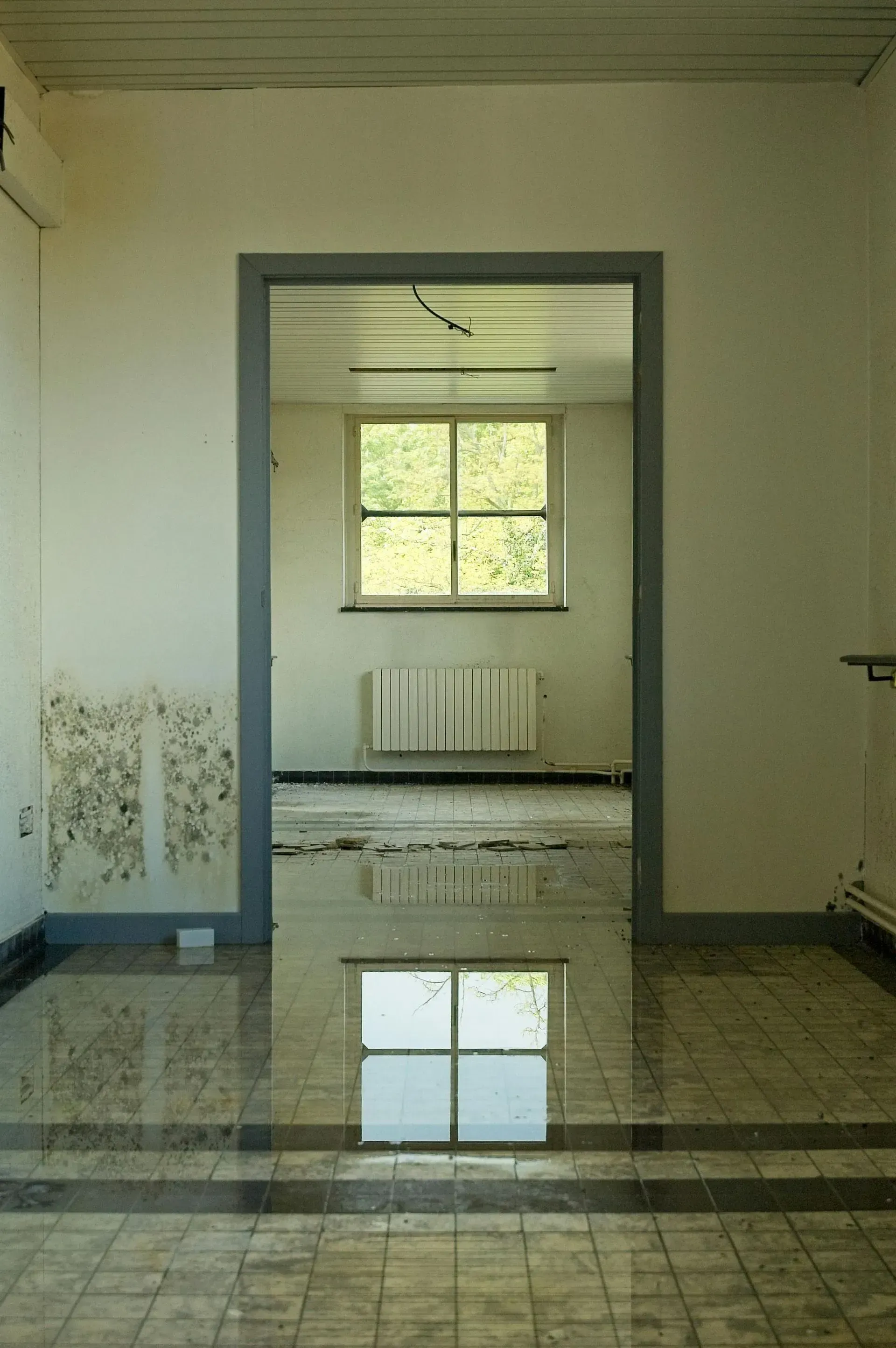 Empty room with tiled floor, window, and wall stains, reflected in a glossy puddle.