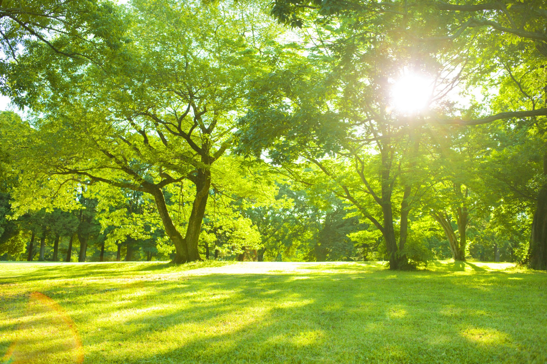 Psychologist Huntsville, AL Martha E. Baker, Psy D.