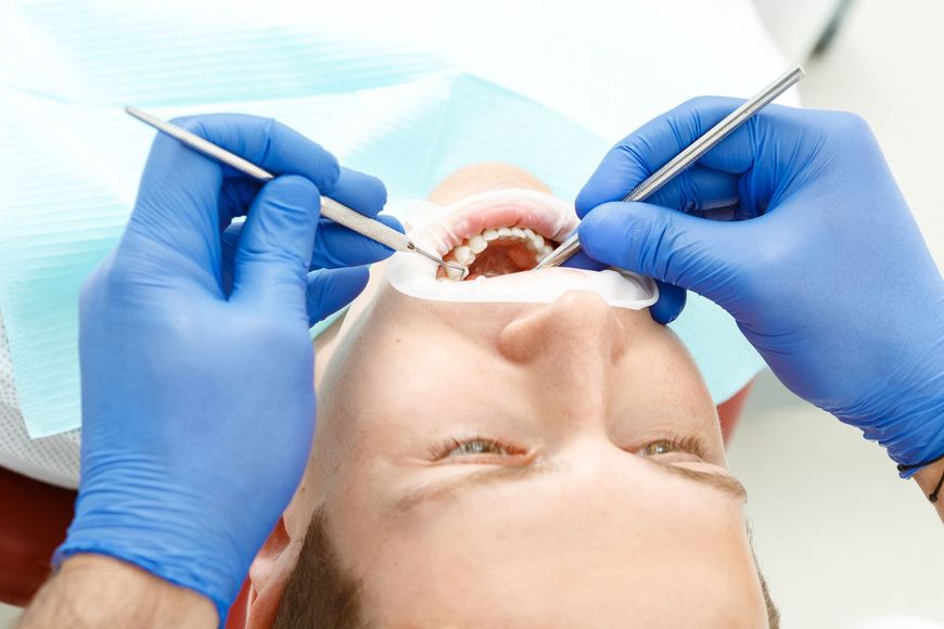 Miatologia sistema masticatorio