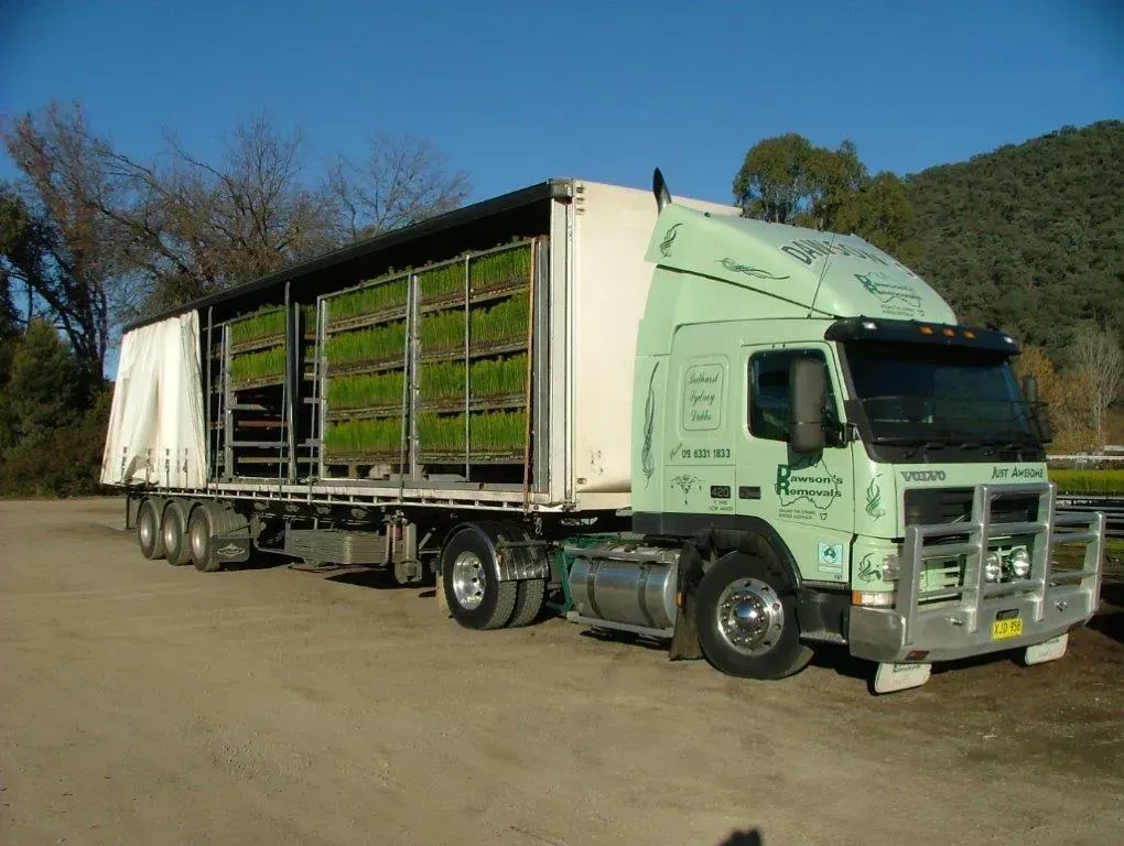 Green Semi-truck Carrying Plants in Open Trays — Dawson's Removals In Kelso, NSW