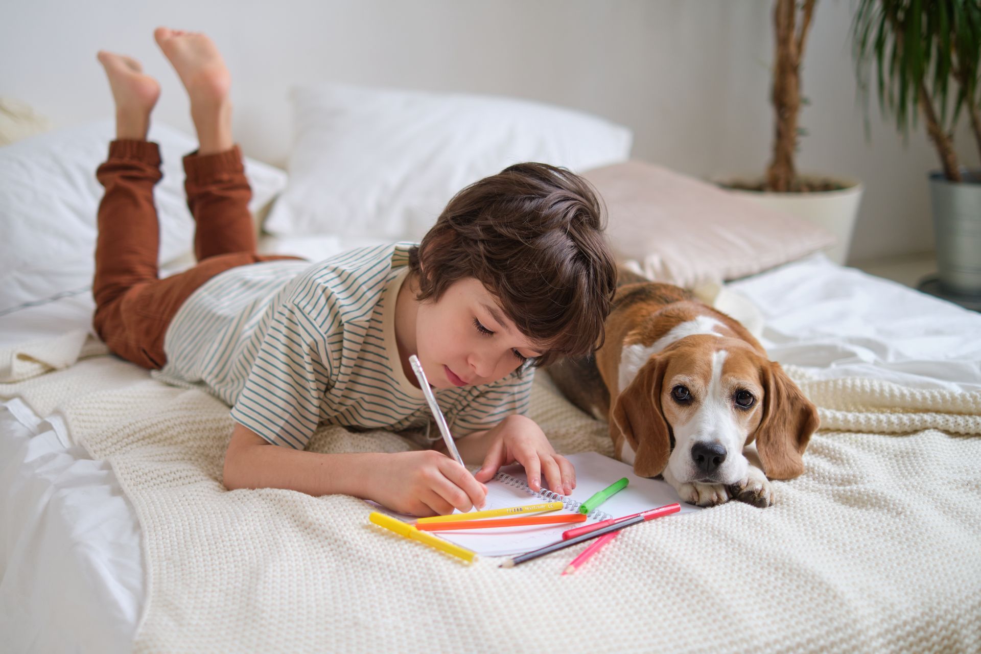 Child drawing on a bed next to a beagle, with colorful pencils scattered nearby.