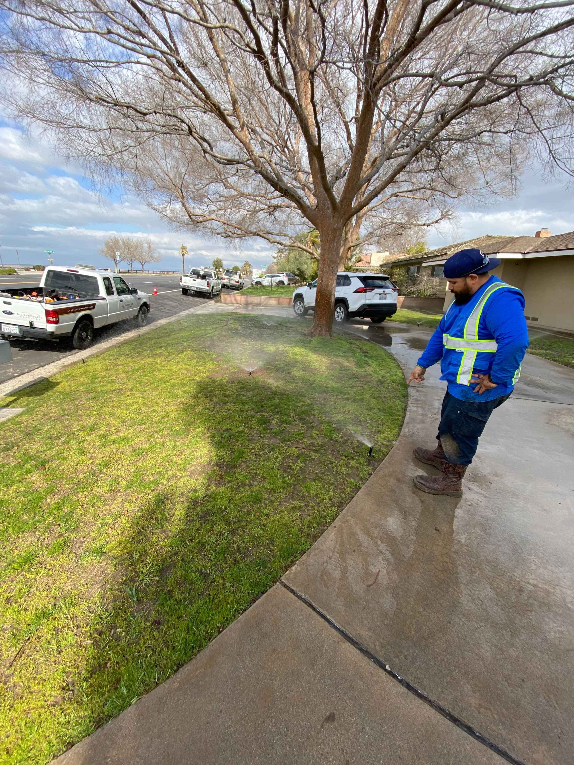 sprinkler spraying water on grass near a sidewalk and tree.