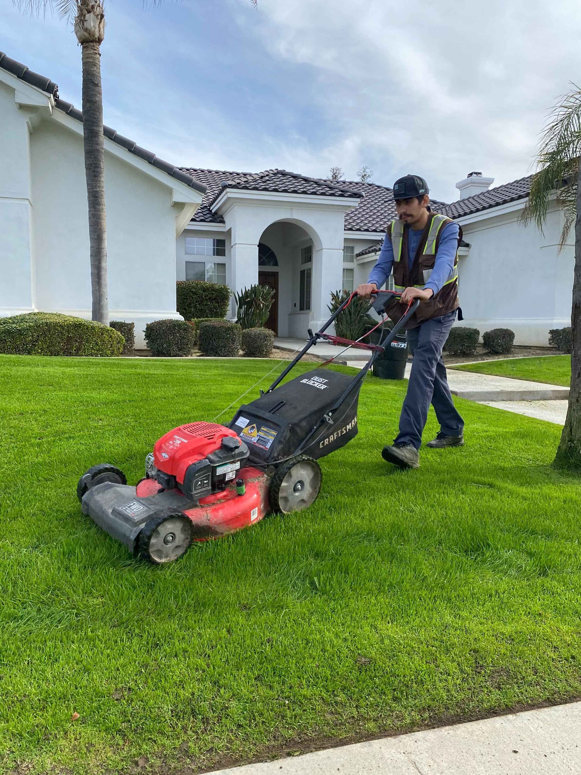 Lawn mower cutting green grass in a yard.