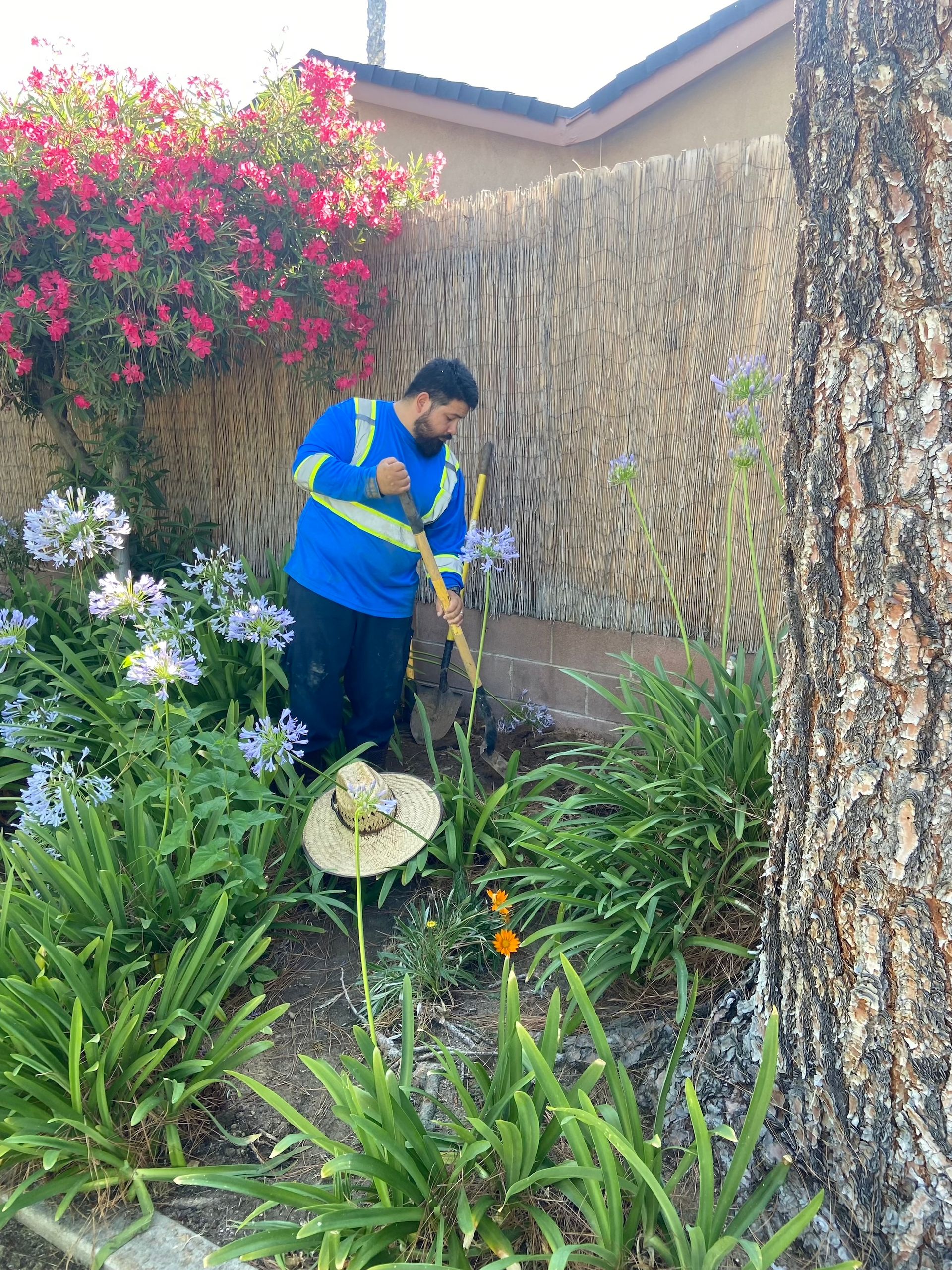 Man in blue uniform gardening near a tree and flowers. Beige fence and red flowers in the background.