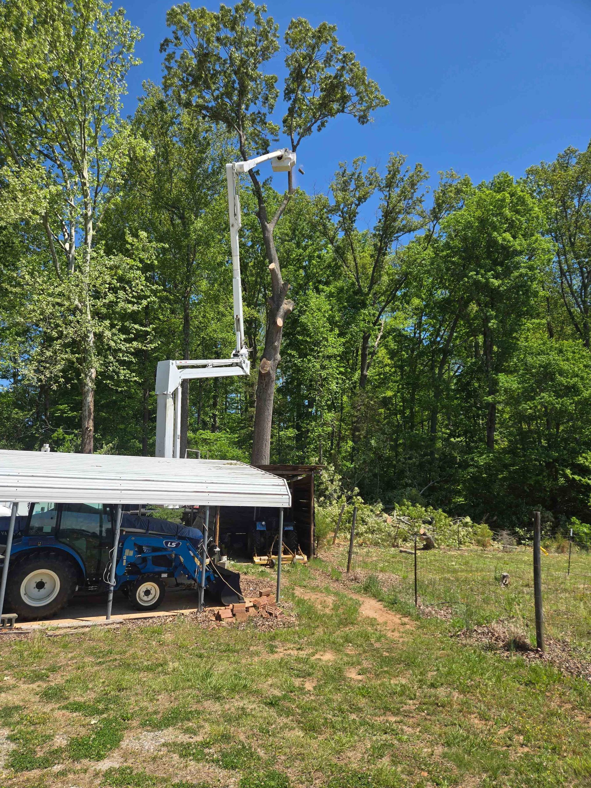 White utility truck with raised bucket lift in a grassy, tree-lined yard under a blue sky