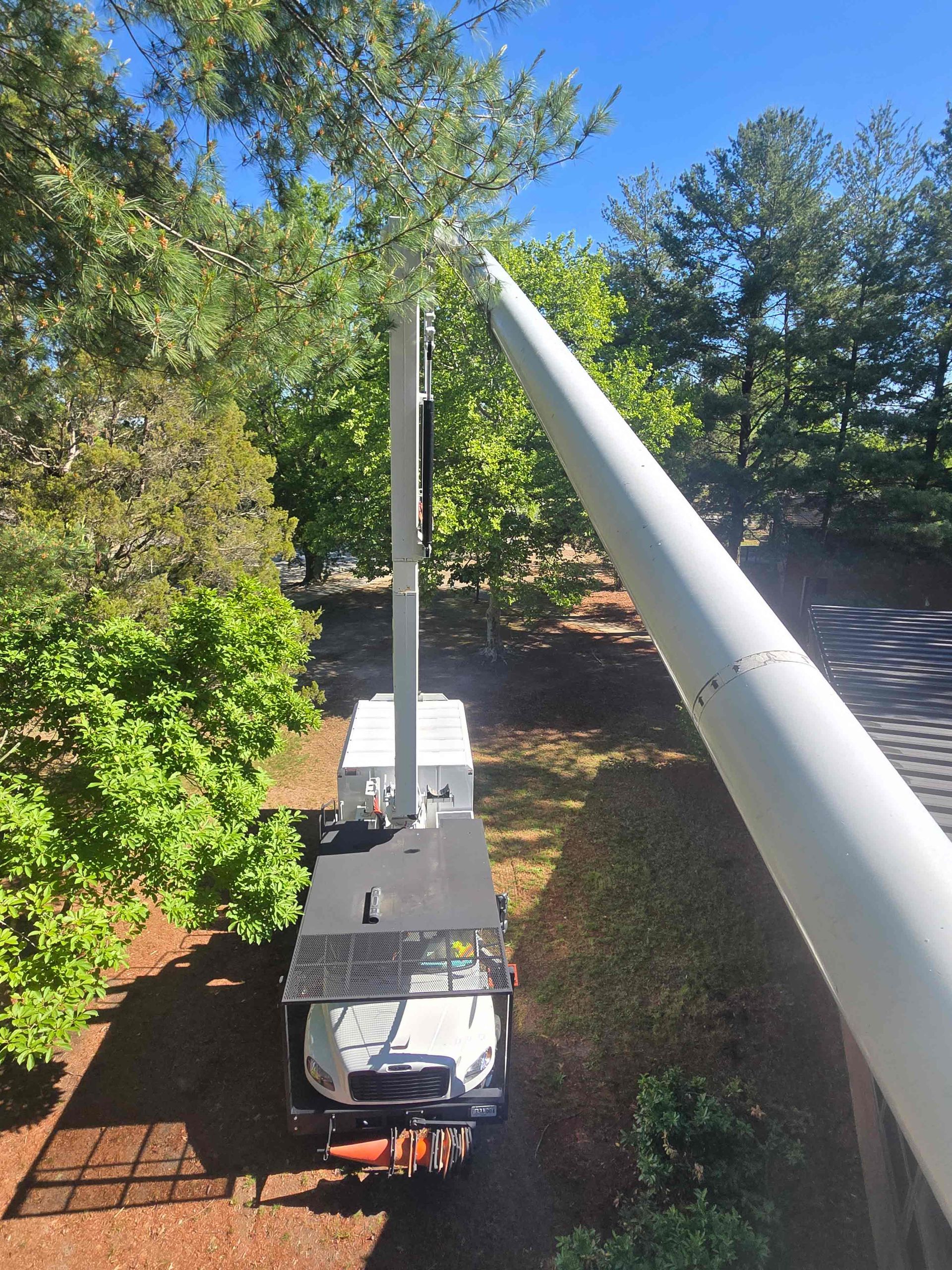 Utility truck with elevated boom working along tree-lined roadside, viewed from above