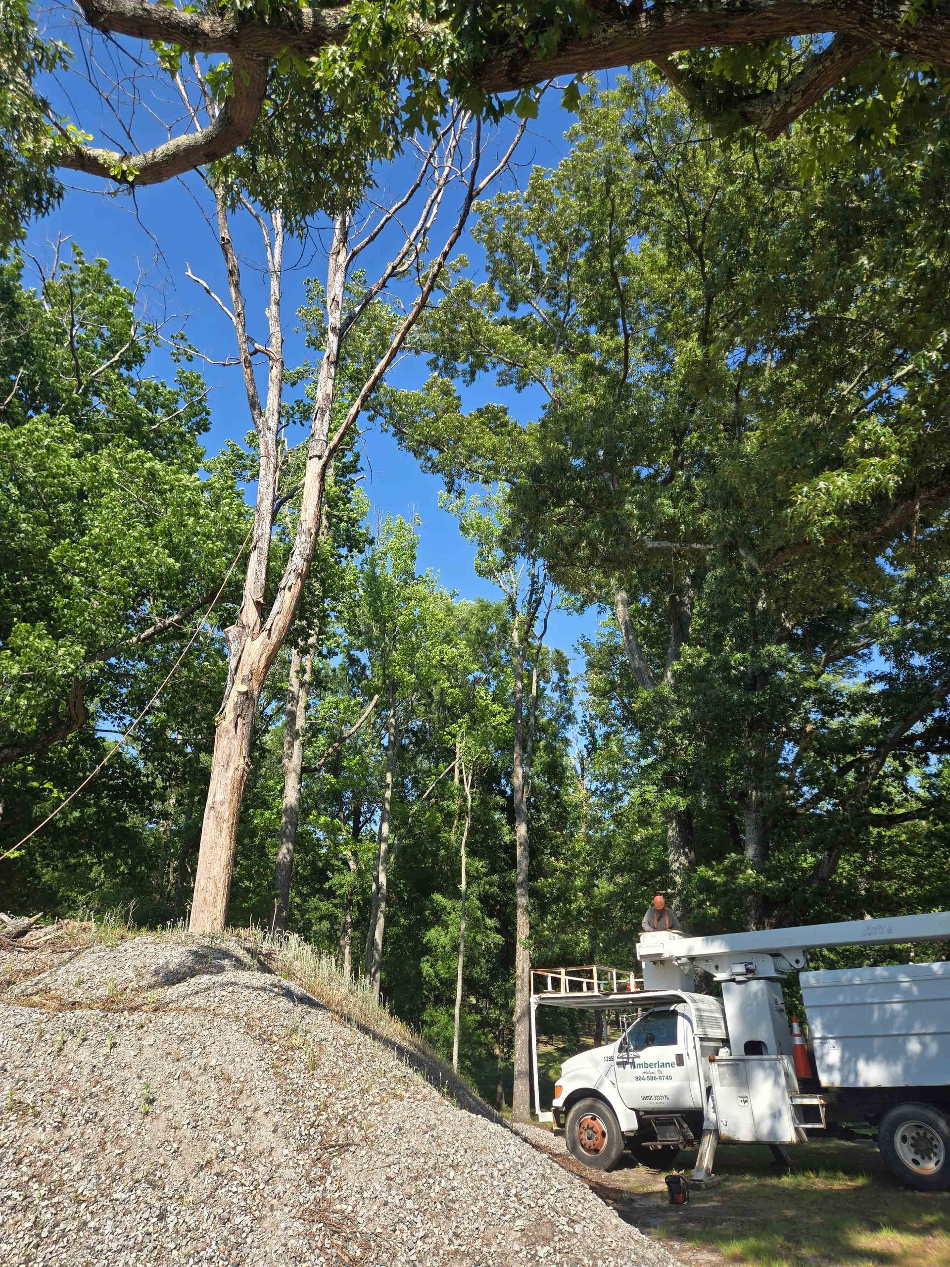White utility truck beside a gravel mound under tall trees against a blue sky.