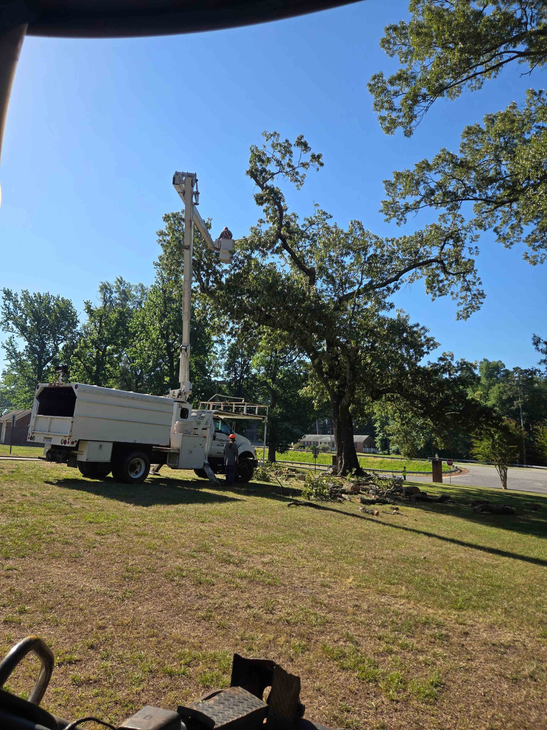 White utility truck with raised boom on a grassy slope under trees in bright sunlight