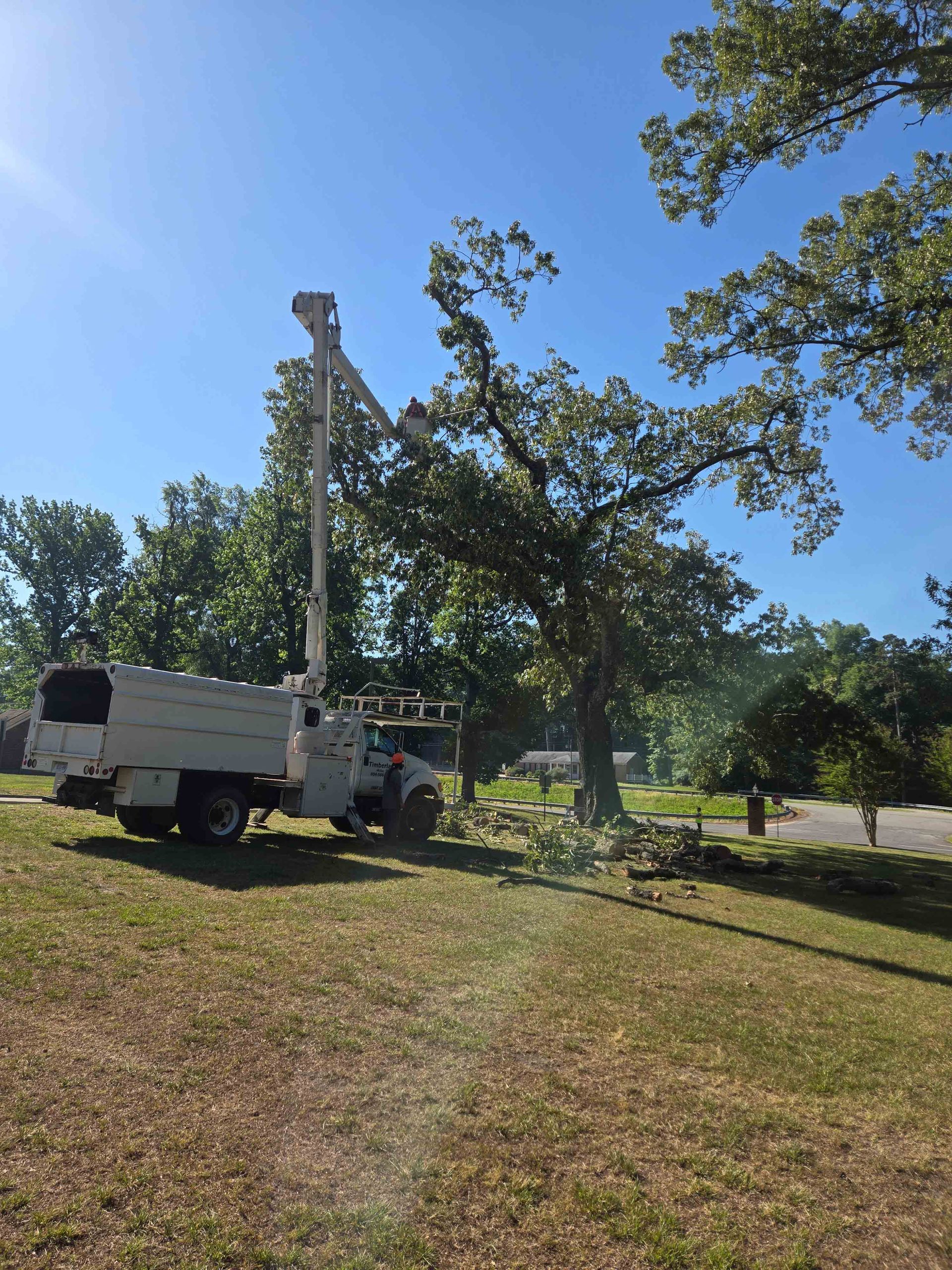 White utility truck with boom lift parked on a grassy area under trees on a sunny day