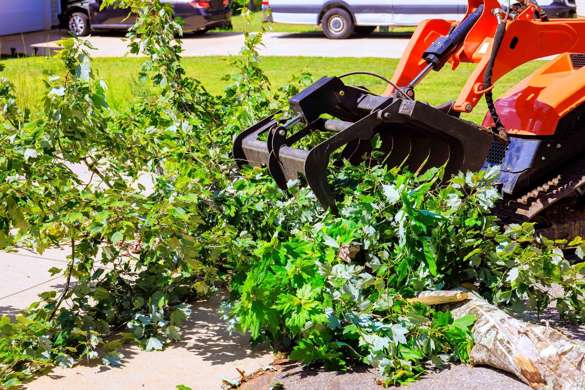 Orange excavator clearing green bushes and branches from a sidewalk curbside