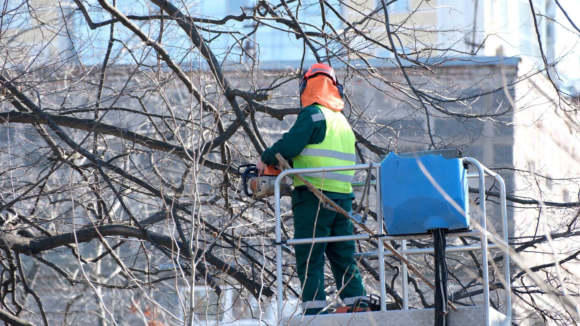 Worker in an orange hard hat trims tree branches from a lift basket beside a building