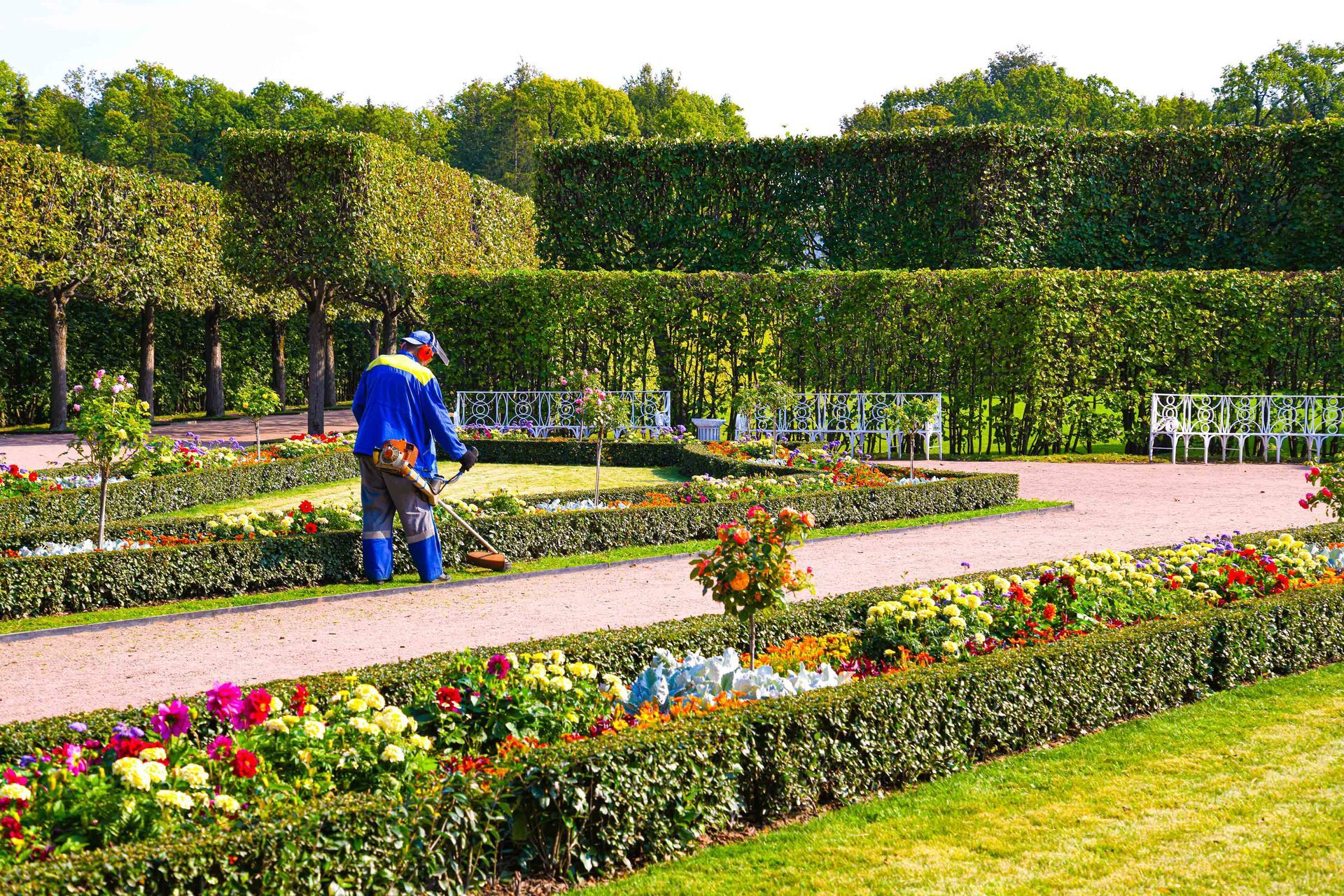 Gardener watering colorful flowerbeds in a manicured park with hedges and paved paths