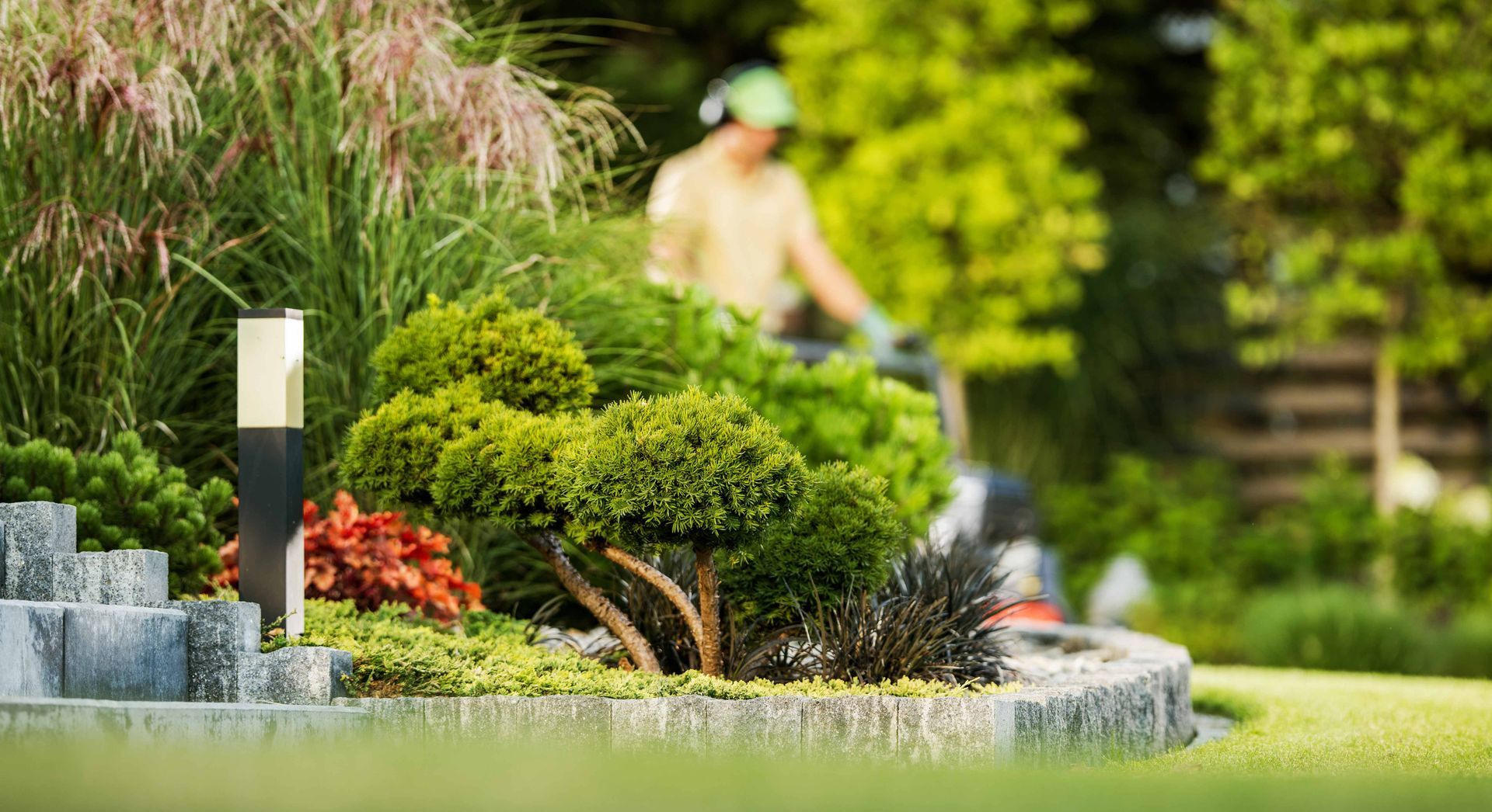 Garden with trimmed shrubs, stone steps, and a blurred gardener in the background