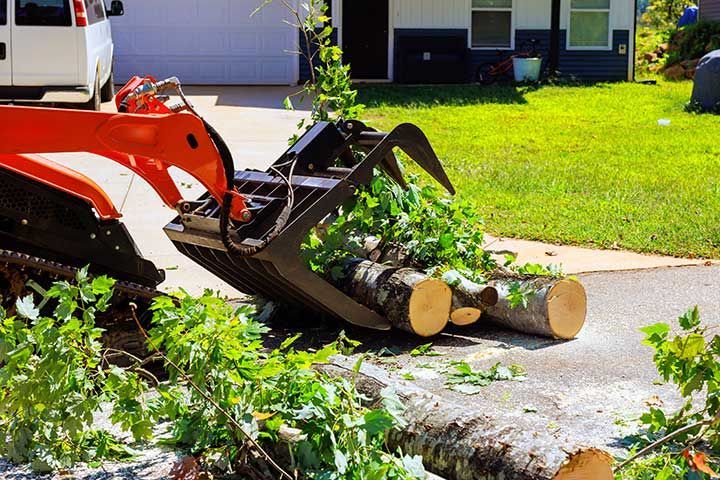 Skid steer machinery removes fallen tree logs 