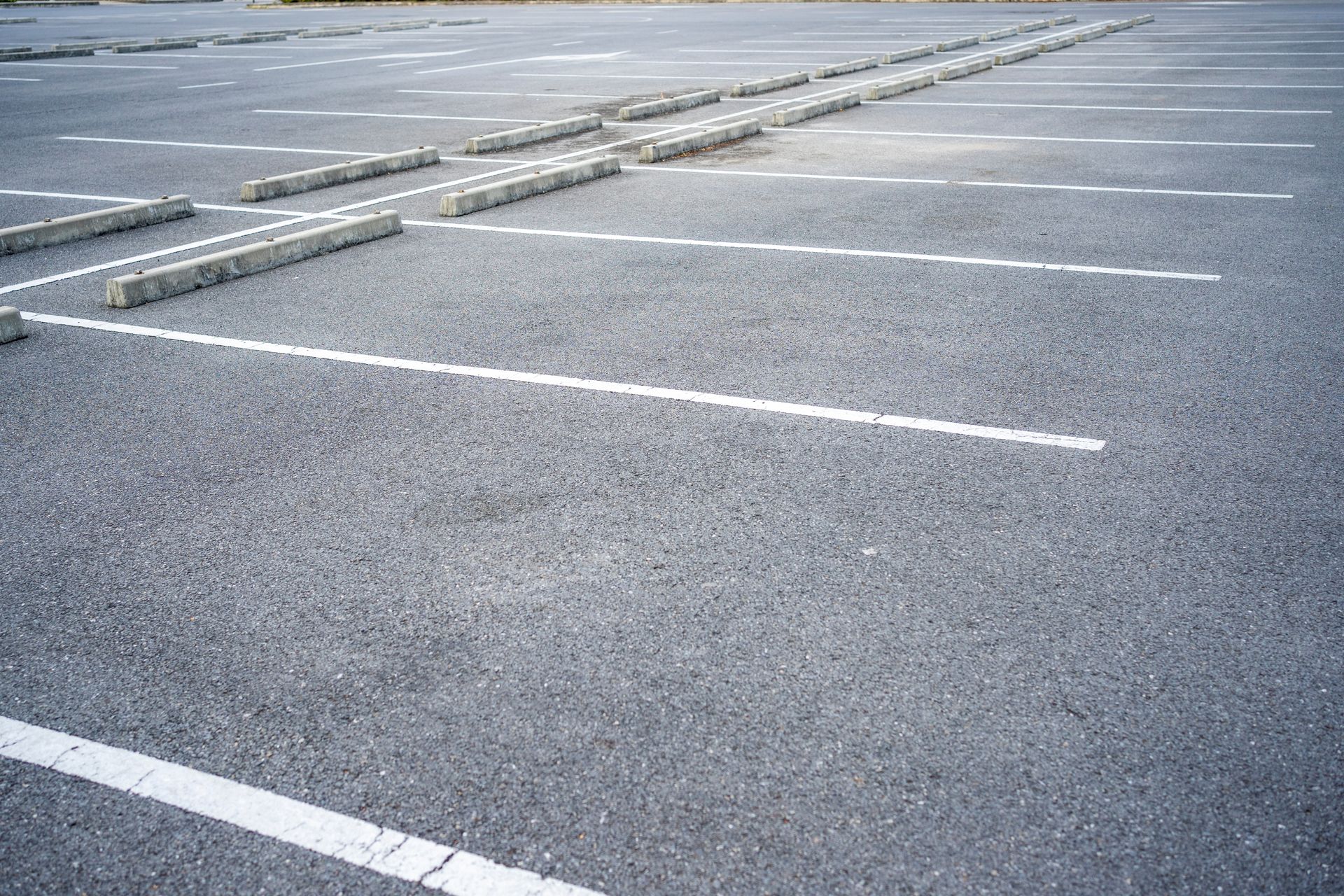 Empty parking lot with white lines and concrete parking blocks on asphalt.