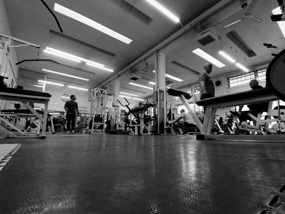 sala fitness
