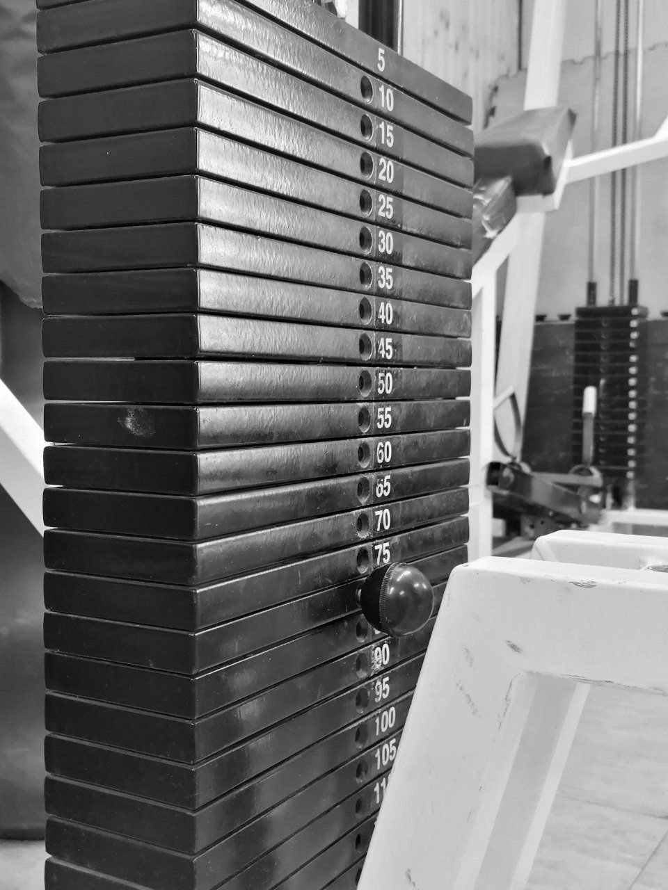 pesi bodybuilding