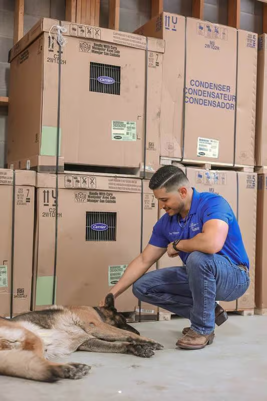 Man in blue shirt pets a resting dog near boxes labeled 