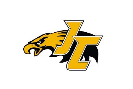 Black and gold tiger head logo with stylized letters “LC” on white background
