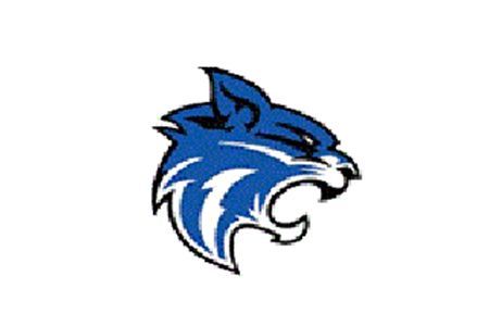 Blue and white wolf head logo on a white background