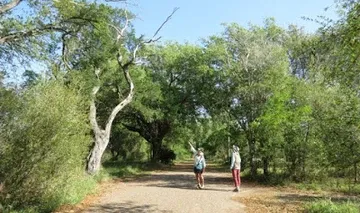 Two people are walking down a dirt road in the woods.