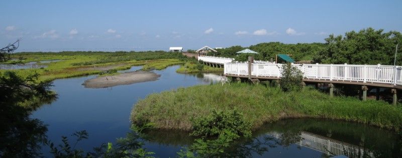 A boardwalk winds through a marshy area with water and greenery under a blue sky.