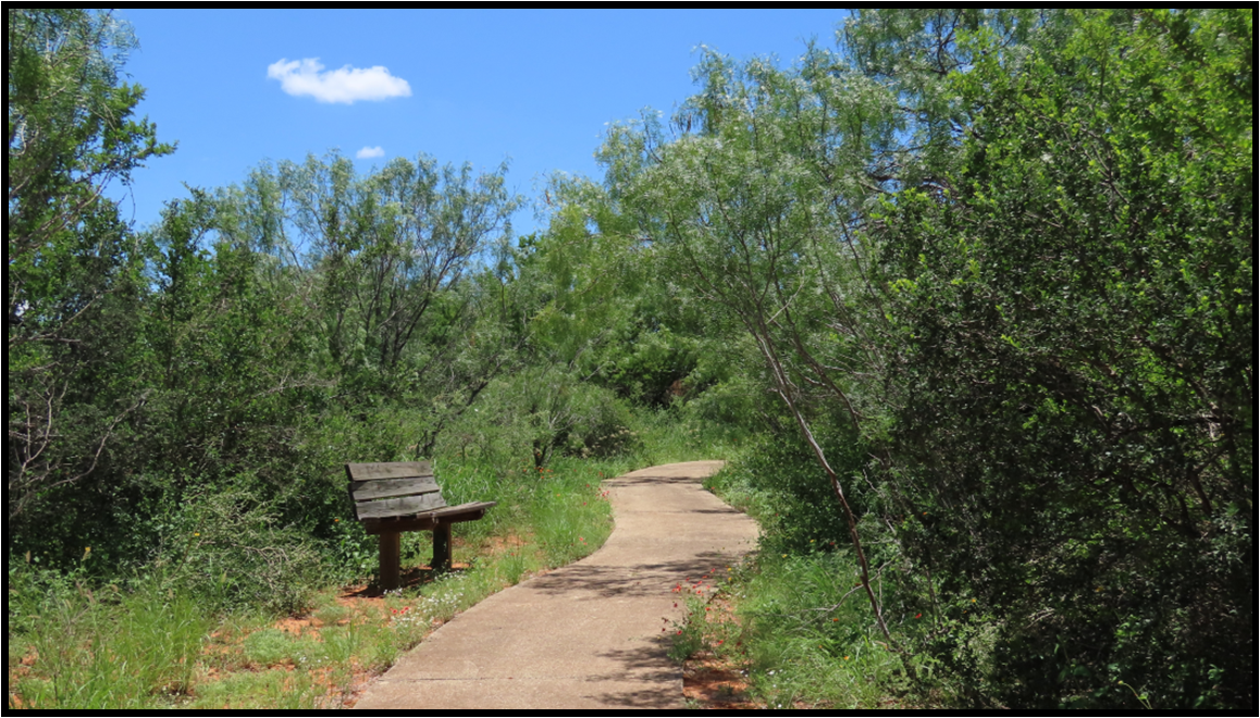 A wooden bench is sitting on the side of a path in the woods.