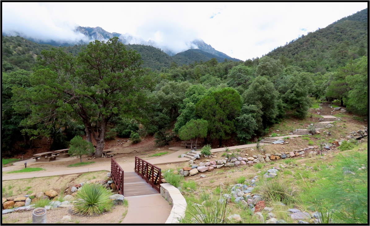 A wooden bridge in the middle of a forest with mountains in the background
