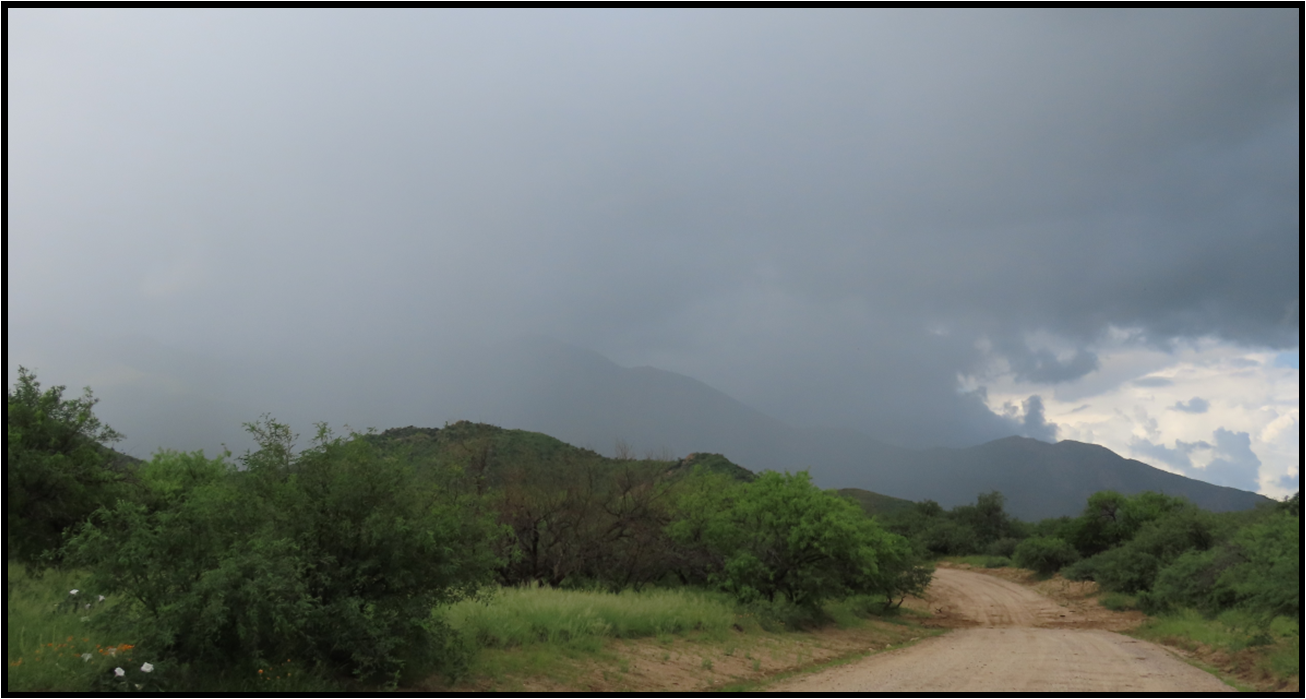 A dirt road leading to a mountain with a cloudy sky in the background.