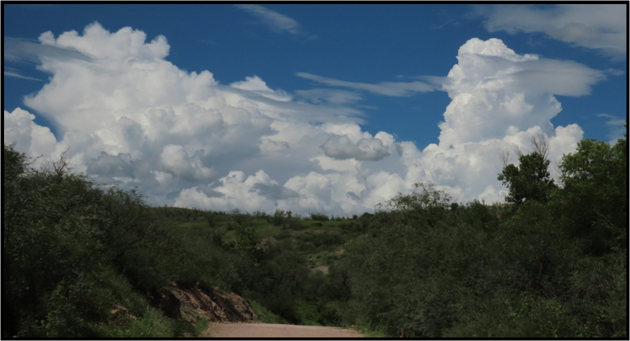 A dirt road with trees on both sides and clouds in the sky