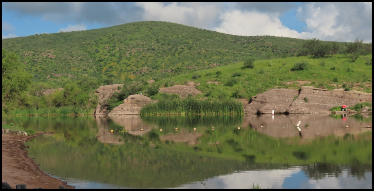 A lake with a mountain in the background and trees on the shore.