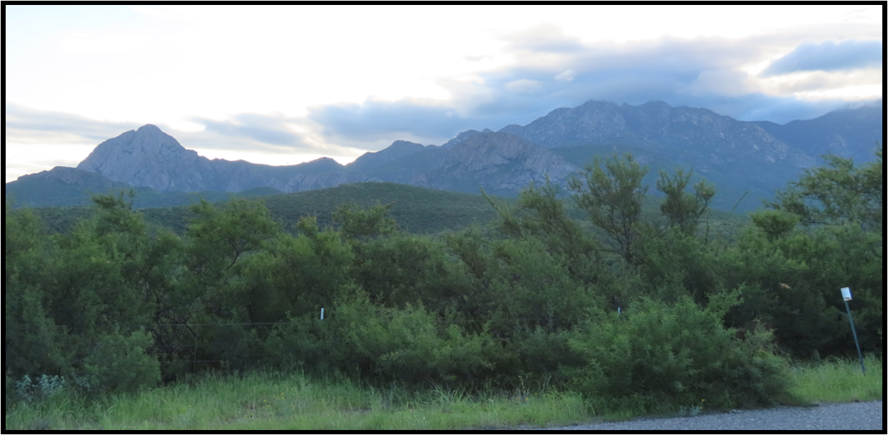 There are mountains in the background and trees in the foreground.