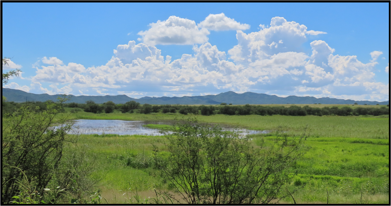 A lush green field with a lake in the middle and mountains in the background.