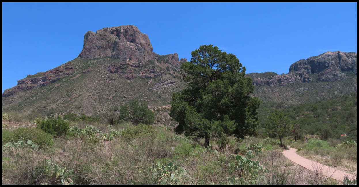 A dirt road in the desert with mountains in the background