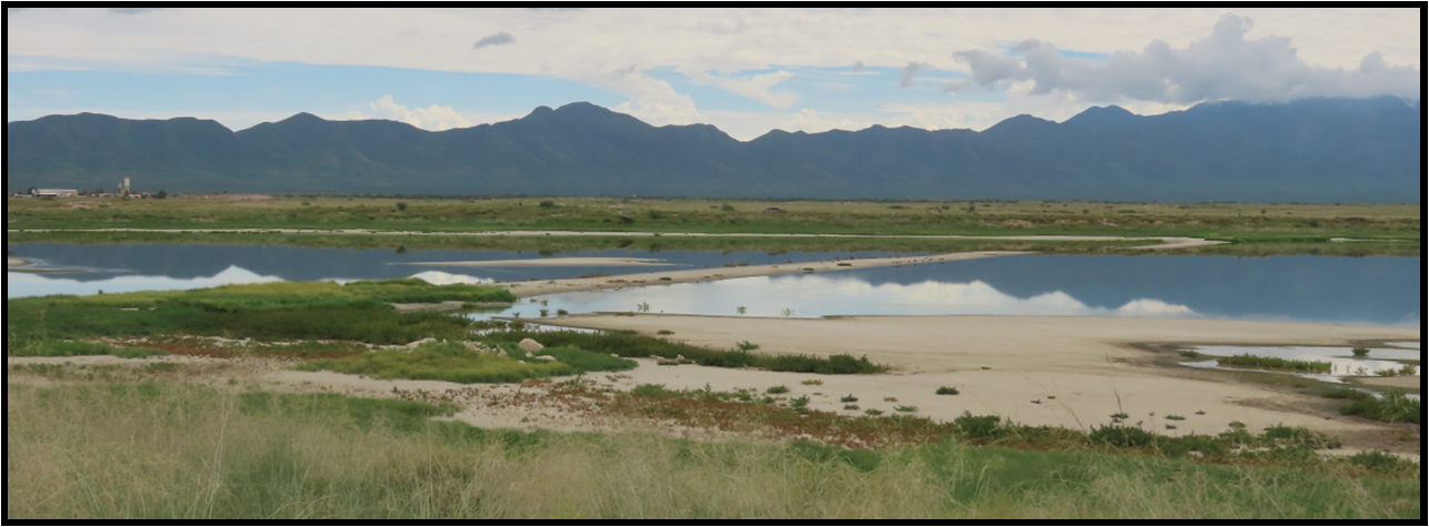 A large body of water with mountains in the background