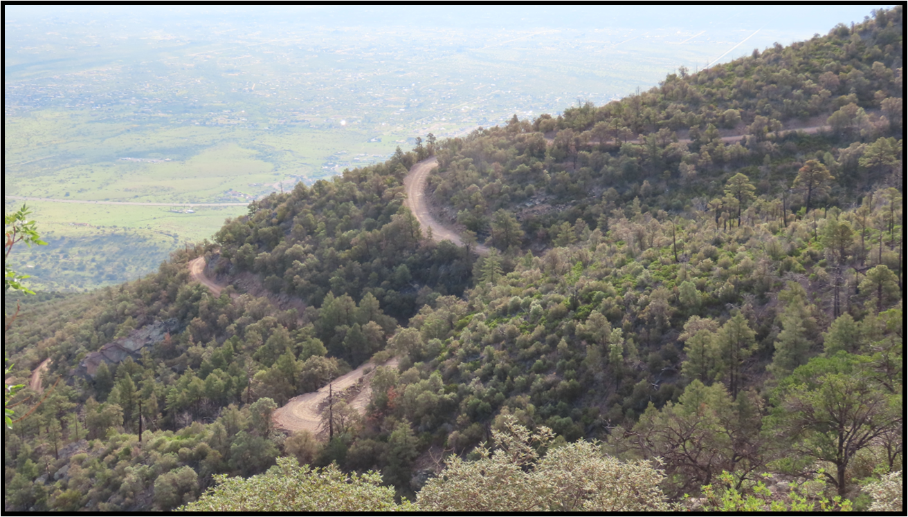 A dirt road is going down a hill surrounded by trees.