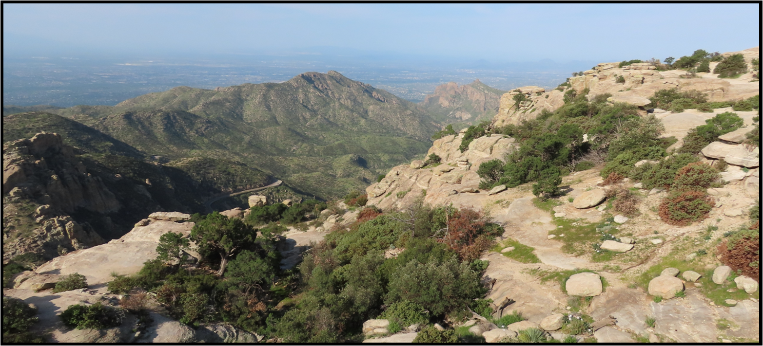 A view of a mountain range with trees and rocks