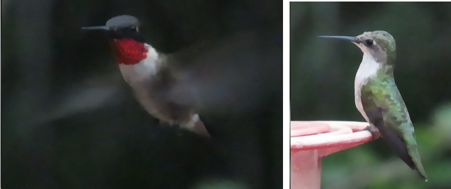 A hummingbird is perched on a bird feeder next to another hummingbird.