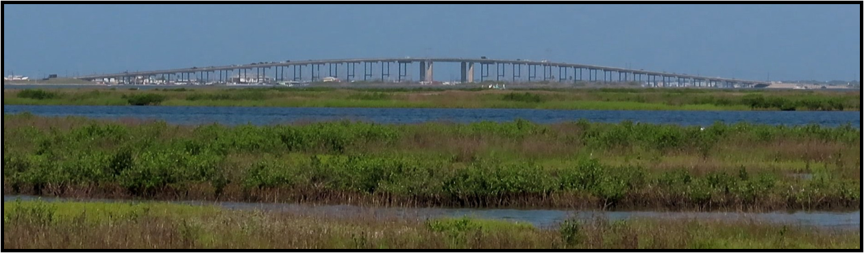 A long bridge spans a body of water with marshy vegetation in the foreground under a blue sky.