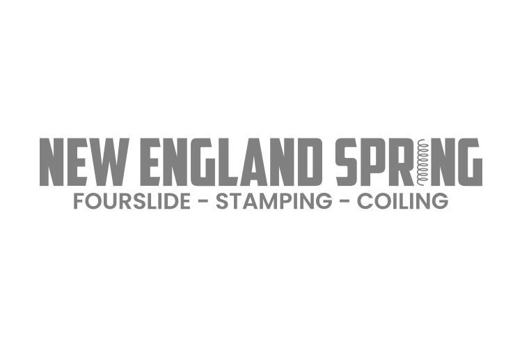 Logo for New England Spring, gray text on white background: