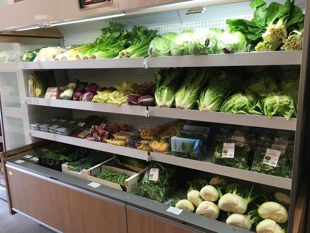 lettuce and salad