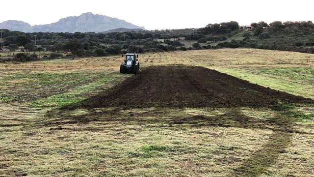 field for agricultural cultivation