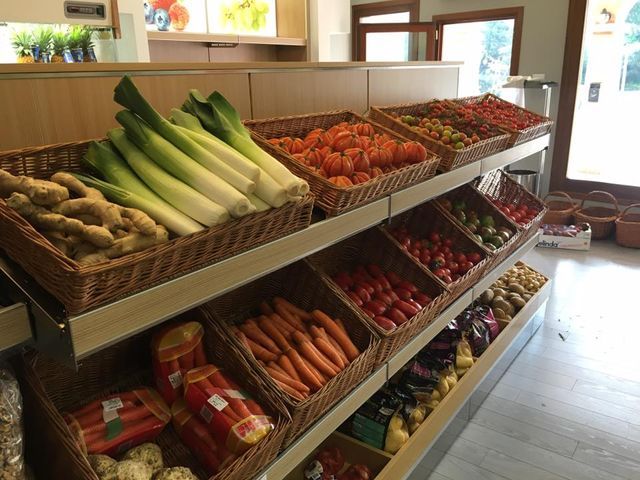 carrots and celery