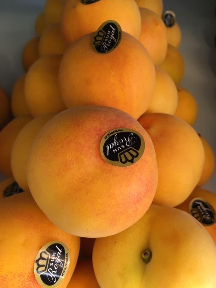 fresh fruit