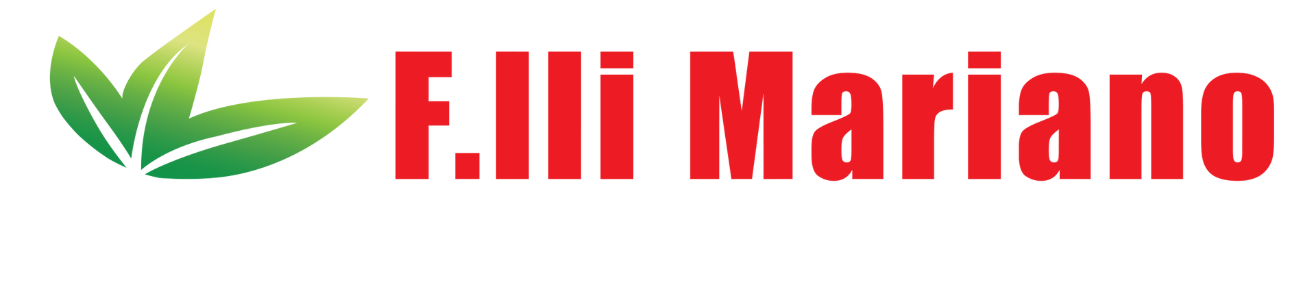 FRATELLI MARIANO 2000 - LOGO