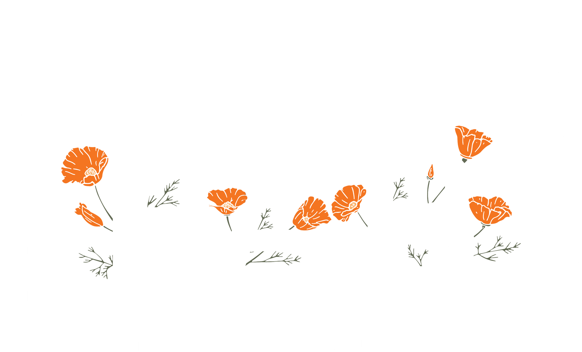Drab to Fab logo