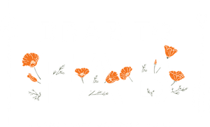 Drab to Fab logo