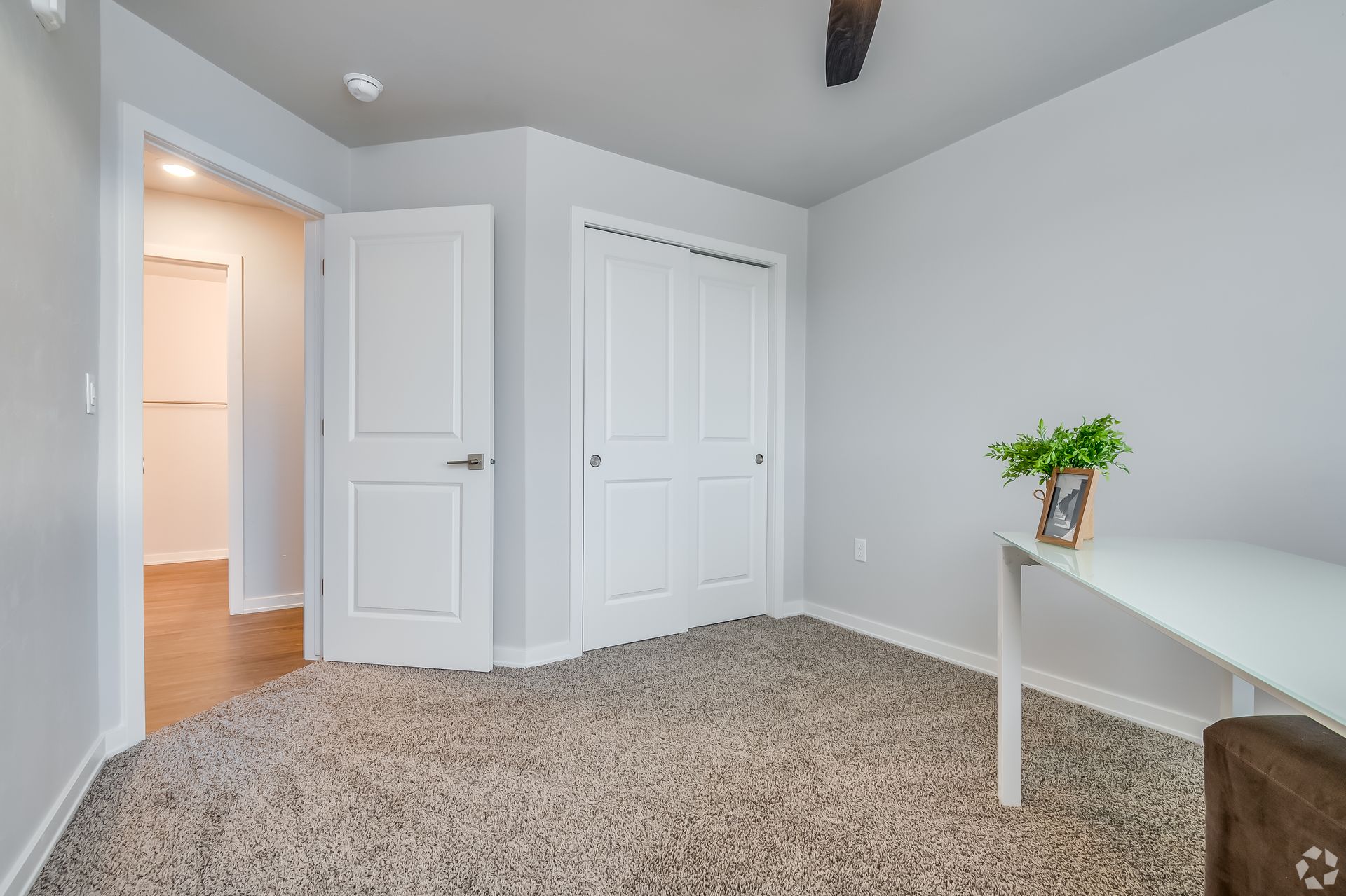 Empty carpeted bedroom with white doors, gray walls, and a small white table with a plant