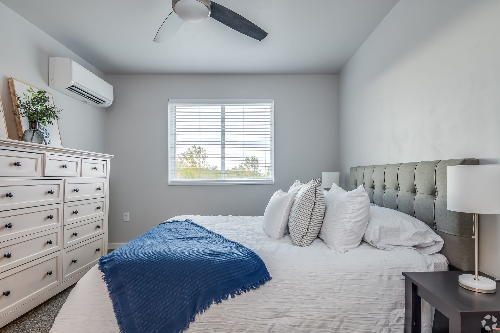 Bright bedroom with a tufted bed, blue throw blanket, white dresser, and window with blinds